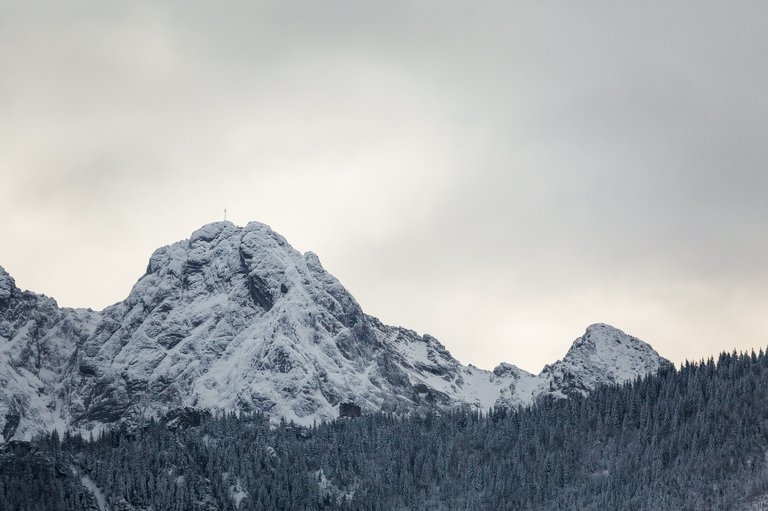 fotografia slubna zakopane, fotograf weselny zakopane, slub w zakopanem, slub w zakopanym, zdjecia slubne malopolska, plenerowy slub w tatrach, slub pod tatrami, zimowy slub tatry, zimowy slub w tatrach, plener slubny w tatrach, sesja slubna tatry, fotografia slubna Tatry, tatrzanski plener slubny, sesja slubna tatry, plener slubny tatry, fotografia slubna malopolska, fotograf na slub zakopane, zdjecia slubne zakopane, fotografia slubna slask, zdjecia slubne krakow, fotografia slubna krakow, zdjecia slubne slask, fotograf slubny Krakow, fotografowie slubni, dwoch fotografow na slub, Anna i Jacek Bieniek,www.magiaobrazu.com,
