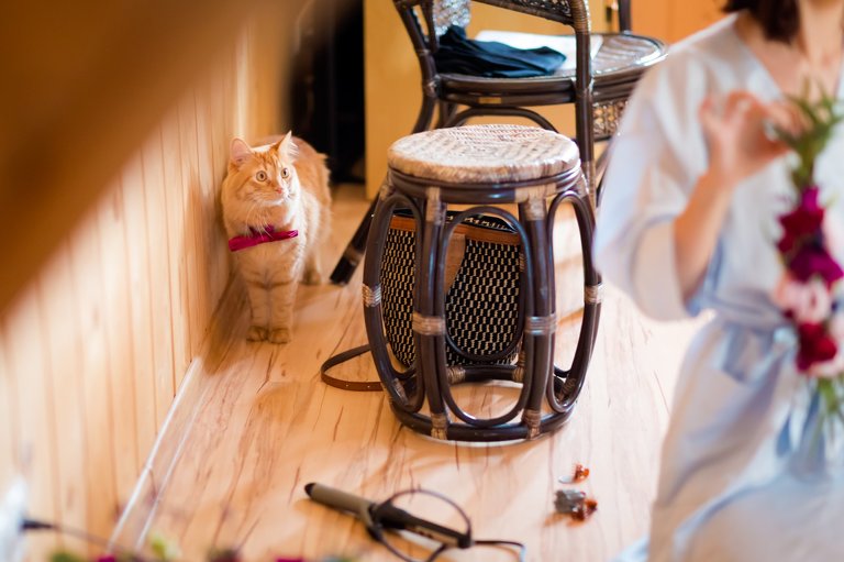 fotografia slubna zakopane, fotograf weselny zakopane, slub w zakopanem, slub w zakopanym, zdjecia slubne malopolska, plenerowy slub w tatrach, slub pod tatrami, zimowy slub tatry, zimowy slub w tatrach, plener slubny w tatrach, sesja slubna tatry, fotografia slubna Tatry, tatrzanski plener slubny, sesja slubna tatry, plener slubny tatry, fotografia slubna malopolska, fotograf na slub zakopane, zdjecia slubne zakopane, fotografia slubna slask, zdjecia slubne krakow, fotografia slubna krakow, zdjecia slubne slask, fotograf slubny Krakow, fotografowie slubni, dwoch fotografow na slub, Anna i Jacek Bieniek,www.magiaobrazu.com,