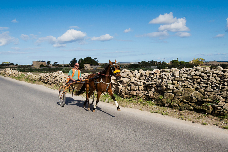 fotografie z podrozy, zdjecia z podrozy, Malta, Marsaxlokk, St peters bay, Mdina, La Valetta, Gozo, st Julians Bay, Popeye village, piekne zdjecia podroznicze, najpiekniejsze miejsca w europie, malta photos, photography malta, profesjonalna fotografia podroznicza, zdjecia z malty, fotografie z malty, fotografia podroznicza, www.magiaobrazu.com, zdjecia malta, fotografie z malty, fotografia malta, piekne miejsca w europie, profesjonalna fotografia podroznicza