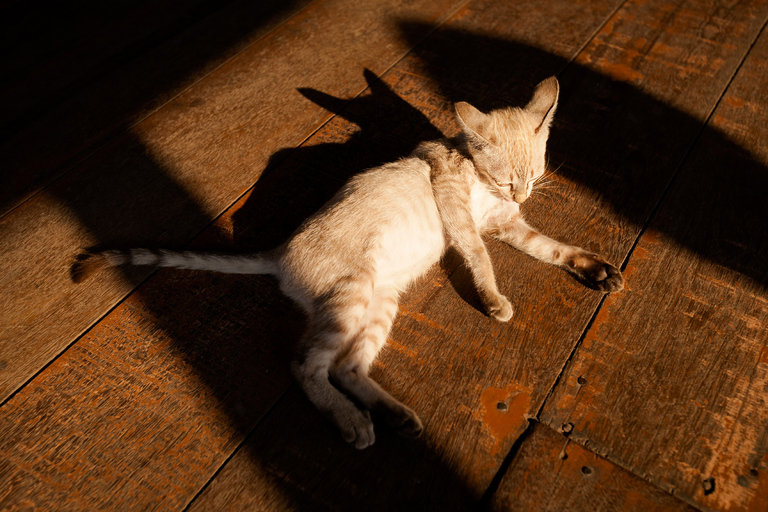 fotografie z podrozy, zdjecia z podrozy, zdjecia z tajlandii, fotografie z tajlandii, fotografia podroznicza, www.magiaobrazu.com, tajlandia, bangkok, koh phangan, koh samui, hua hin, zdjecia koh phangan, zdjecia koh samui, fotografie z hua hin, zdjecia z wakacji, zdjecia z azji, fotografie z azji, podroz po azji, Chao phraya, menam rzeka