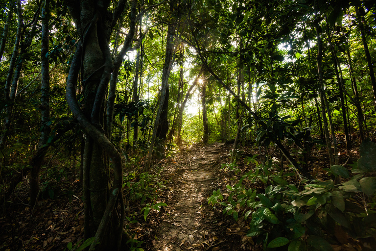 fotografie z podrozy, zdjecia z podrozy, zdjecia z tajlandii, fotografie z tajlandii, fotografia podroznicza, www.magiaobrazu.com, tajlandia, bangkok, koh phangan, koh samui, hua hin, zdjecia koh phangan, zdjecia koh samui, fotografie z hua hin, zdjecia z wakacji, zdjecia z azji, fotografie z azji, podroz po azji, zdjecia z koh phanganm bottle beach