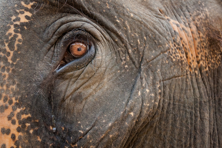 fotografie z podrozy, zdjecia z podrozy, zdjecia z tajlandii, fotografie z tajlandii, fotografia podroznicza, www.magiaobrazu.com, tajlandia, bangkok, koh phangan, koh samui, hua hin, zdjecia koh phangan, zdjecia koh samui, fotografie z hua hin, zdjecia z wakacji, zdjecia z azji, fotografie z azji, podroz po azji, zdjecia z koh phangan