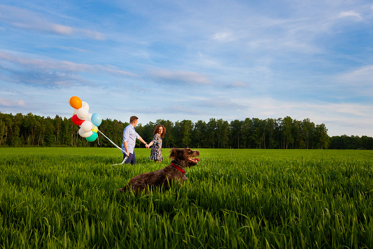 sesja narzeczenska pszczyna, sesja narzeczenska z koniami, plener z koniami, plener narzeczenski pszczyna, sesja narzeczenska w pszczynie, sesje narzeczenskie slask, zdjecia narzeczenskie slask, sesja zareczynowa slask, zdjecia zareczynowe slask, www.magiaobrazu.com, fotografia slubna slask, fotograf slubny krakow, zdjecia przedslubne slask, fotografia slubna slask, romantyczna sesja narzeczenska, engagement session, prewedding photosession,