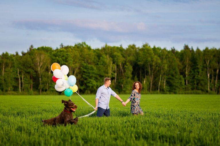 sesja narzeczenska pszczyna, sesja narzeczenska z koniami, plener z koniami, plener narzeczenski pszczyna, sesja narzeczenska w pszczynie, sesje narzeczenskie slask, zdjecia narzeczenskie slask, sesja zareczynowa slask, zdjecia zareczynowe slask, www.magiaobrazu.com, fotografia slubna slask, fotograf slubny krakow, zdjecia przedslubne slask, fotografia slubna slask, romantyczna sesja narzeczenska, engagement session, prewedding photosession,