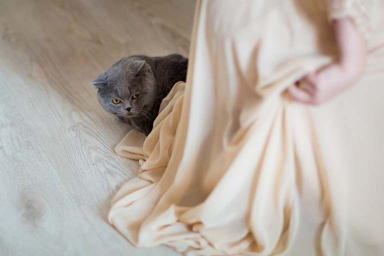 slub w plenerze slask, plenerowy slub slask, fotografia slubna rybnik, zdjecia slubne rybnik, fotograf slubny slask, zdjecia slubne katowice, slub w hotelu korona rybnik, fotografia slubna slask, zdjecia slubne bielsko, fotografia slubna katowice, fotograf slubny bielsko, zdjecia slubne slask, wesele w hotelu korona w rybniku, zdjecia slubne rybnik, slub w plenerze na slasku, dwoch fotografow na slub, fotografia slubna krakow, hotel korona rybnik