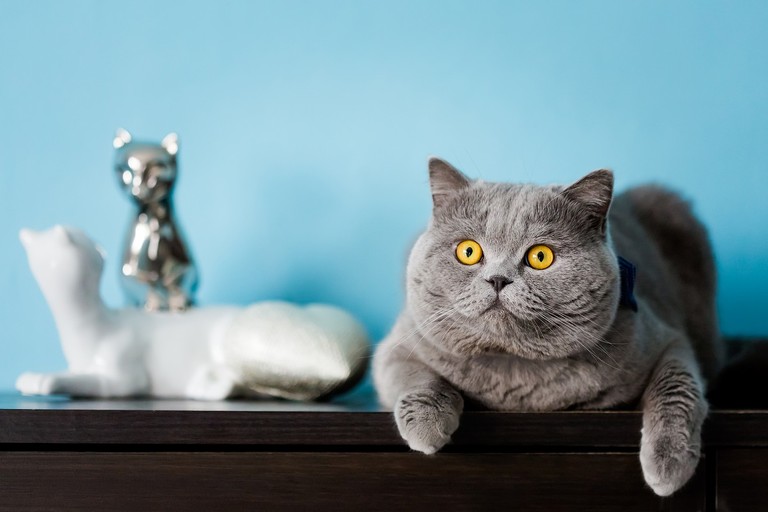 slub w plenerze slask, plenerowy slub slask, fotografia slubna rybnik, zdjecia slubne rybnik, fotograf slubny slask, zdjecia slubne katowice, slub w hotelu korona rybnik, fotografia slubna slask, zdjecia slubne bielsko, fotografia slubna katowice, fotograf slubny bielsko, zdjecia slubne slask, wesele w hotelu korona w rybniku, zdjecia slubne rybnik, slub w plenerze na slasku, dwoch fotografow na slub, fotografia slubna krakow, hotel korona rybnik