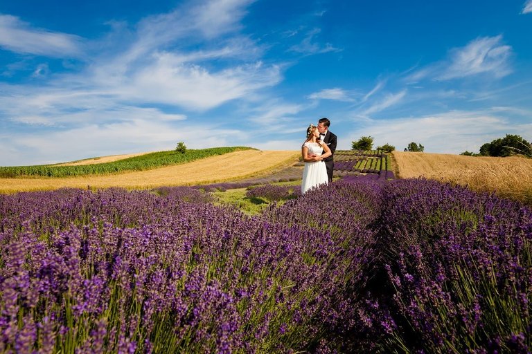 wiosenna sesja slubna, wiosenny plener slubny, sesja slubna w lawendzie, plener slubny na polu lawendy, sesja slubna w zbozu, plener slubny zboze, fotografia slubna krakow, zdjecia slubne krakow, plener slubny w lesie, www.magiaobrazu.com, fotografia slubna, romantyczna sesja slubna, fotografia ślubna, piekny plener slubny, piekna sesja slubna, fotograf ślubny Kraków, fotografowie ślubni, fotograf slask,dwóch fotografów na ślub, Anna i Jacek Bieniek, zdjęcia ślubne śląsk,