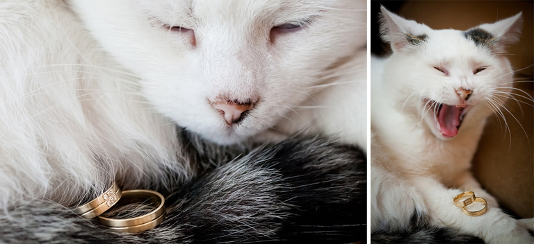 fotograf slubny slask; dwoje fotografow na slub; fotografowie slubni slask; fotograf slubny bielsko; fotografia slubna, reportaz slubny, www.magiaobrazu.com, zdjecia slubne, fotoreportaz slubny; fotograf pszczyna; zdjecia slubne bielsko; dworek weselny w bestwince;