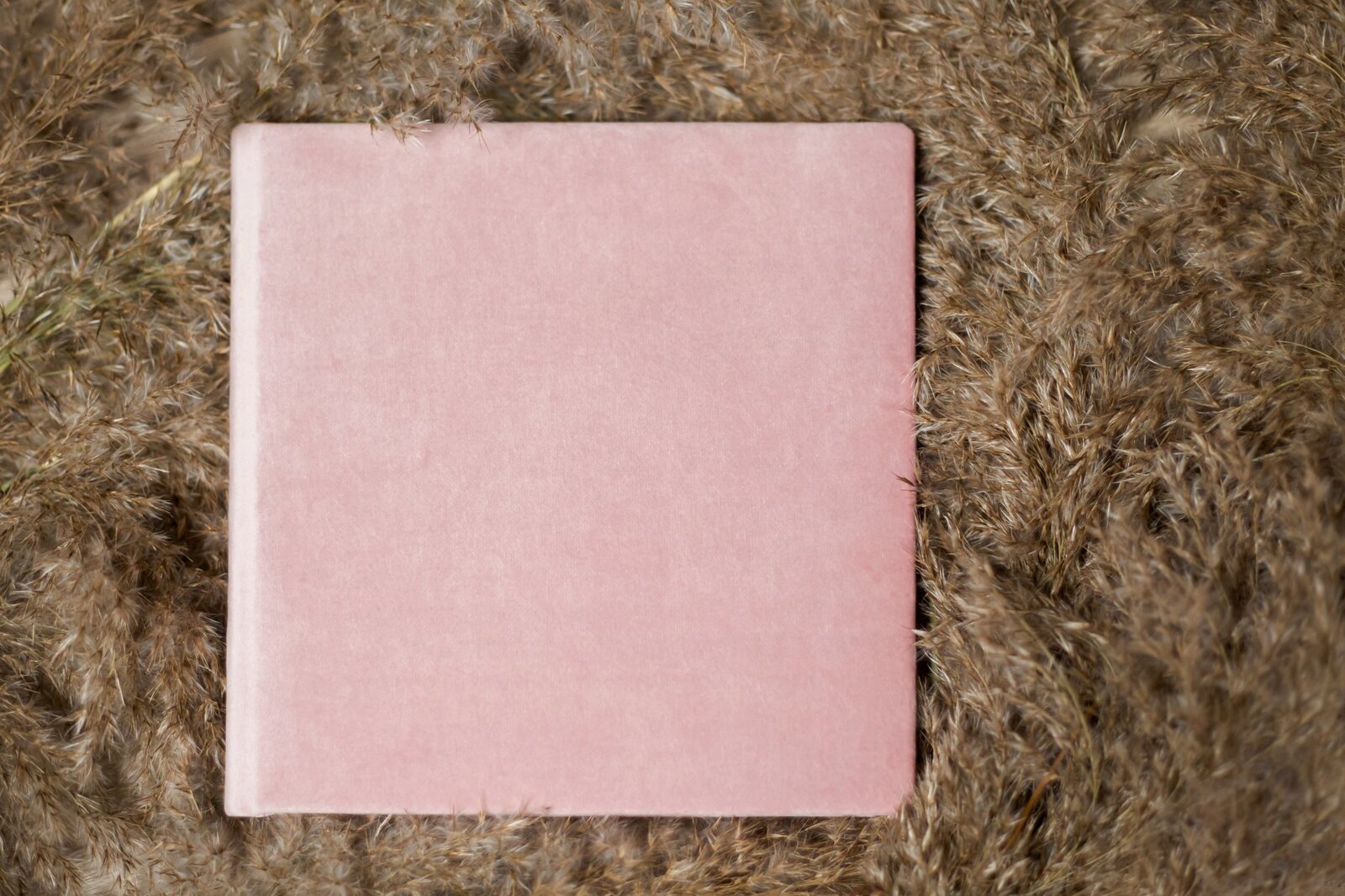 Fotoalbum w aksamitnej oprawie - zdjęcia. Ekskluzywna oprawa zdjęć ślubnych, rodzinnych