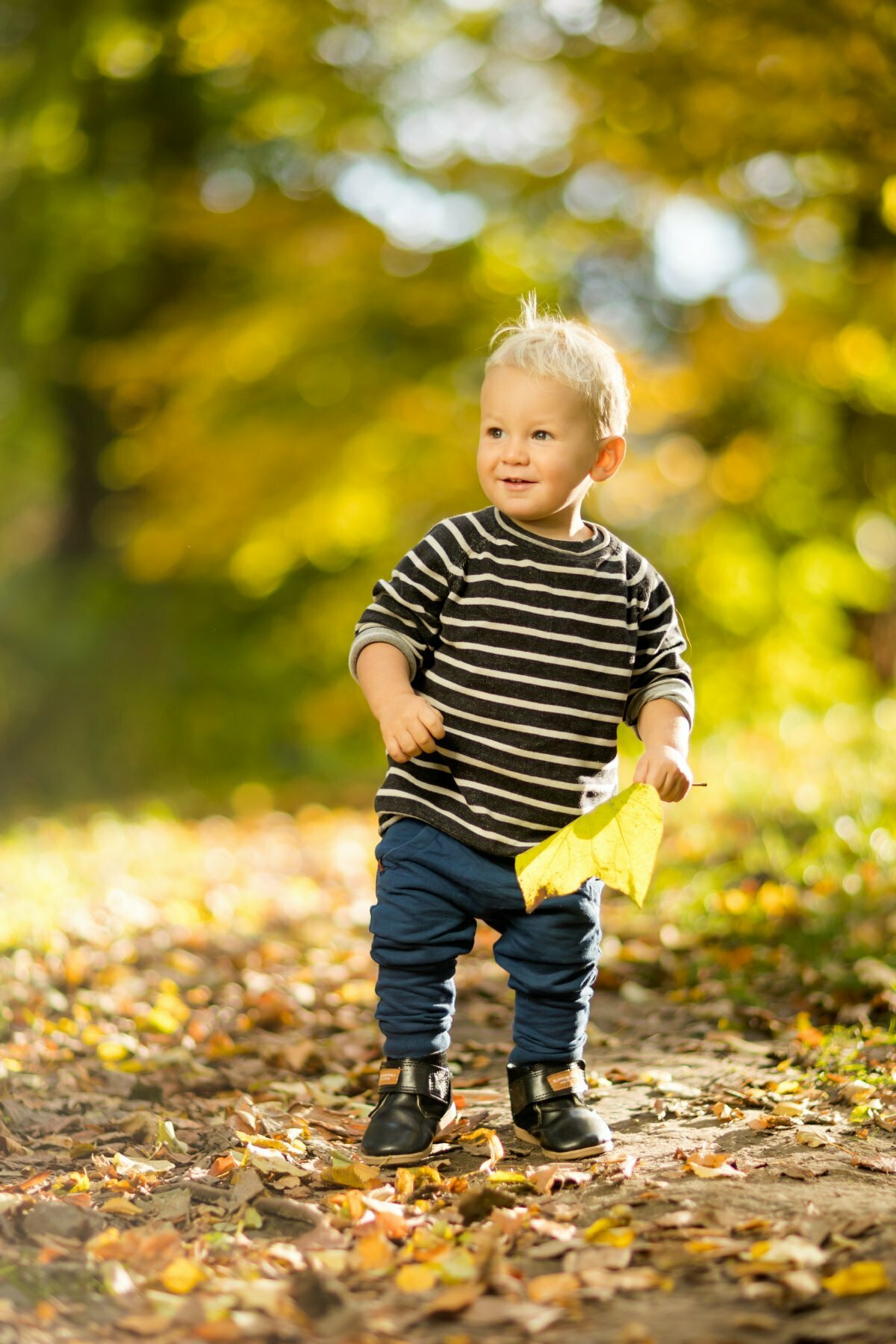 jesienne sesje dzieciece, lifestylowa sesja rodzinna pszczyna, lifestylowe sesje rodzinne pszczyna, jesienna sesja rodzinna, sesje dzieciece pszczyna, zdjecia dzieciece pszczyna, sesja rodzinna bielsko, fotografia rodzinna slask, zdjecia portretowe pszczyna,fotografia dziecieca bielsko, zdjecia dzieci bielsko, fotografia rodzinna bielsko-biala, fotografia rodzinna slask, fotograf czechowice, fotografia bielsko