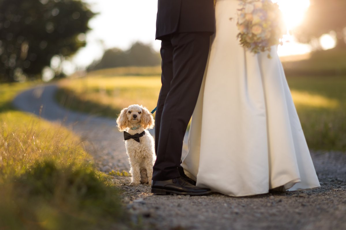 plener slubny w Wisle, sesja slubna w gorach, plener slubny w gorach, sesja slubna beskidy, plener slubny w beskidach, fotografia slubna bielsko, zdjecia slubne w wisle, fotografia slubna wisla, plener slubny slask, zdjecia slubne bielsko, fotografia slubna bielsko, jesienny plener slubny, jesienna sesja slubna, fotografia slubna zywiec, zdjecia slubne zywiec, fotografia slubna slask, zdjecia slubne bielsko, fotograf slubny bielsko, zdjecia slubne slask,