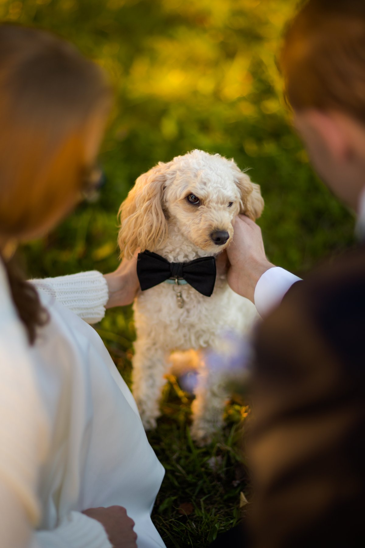 plener slubny w Wisle, sesja slubna w gorach, plener slubny w gorach, sesja slubna beskidy, plener slubny w beskidach, fotografia slubna bielsko, zdjecia slubne w wisle, fotografia slubna wisla, plener slubny slask, zdjecia slubne bielsko, fotografia slubna bielsko, jesienny plener slubny, jesienna sesja slubna, fotografia slubna zywiec, zdjecia slubne zywiec, fotografia slubna slask, zdjecia slubne bielsko, fotograf slubny bielsko, zdjecia slubne slask,