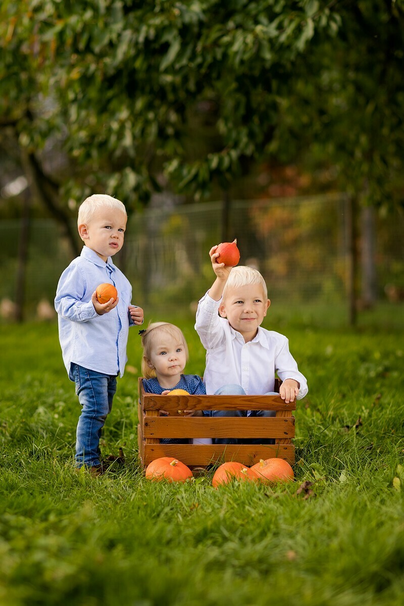 sesja dla dziadków w ogrodzie, sesja z wnukami, zdjecia z wnukami, lifestylowa sesja rodzinna pszczyna, sesja rodzinna bielsko, fotografia rodzinna slask, zdjecia portretowe pszczyna, sesja portretowa bielsko, zdjecia w plenerze bielsko, rodzina w plenerze slask, fotografia dziecieca bielsko, zdjecia dzieci bielsko, fotografia rodzinna bielsko-biala, fotografia rodzinna slask, fotograf rodzinny slask
