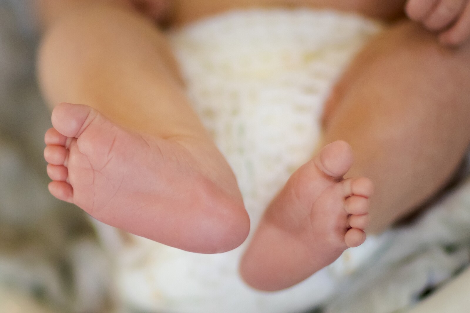 Sesja noworodkowa Miłoszka w otoczeniu domowej zieleni