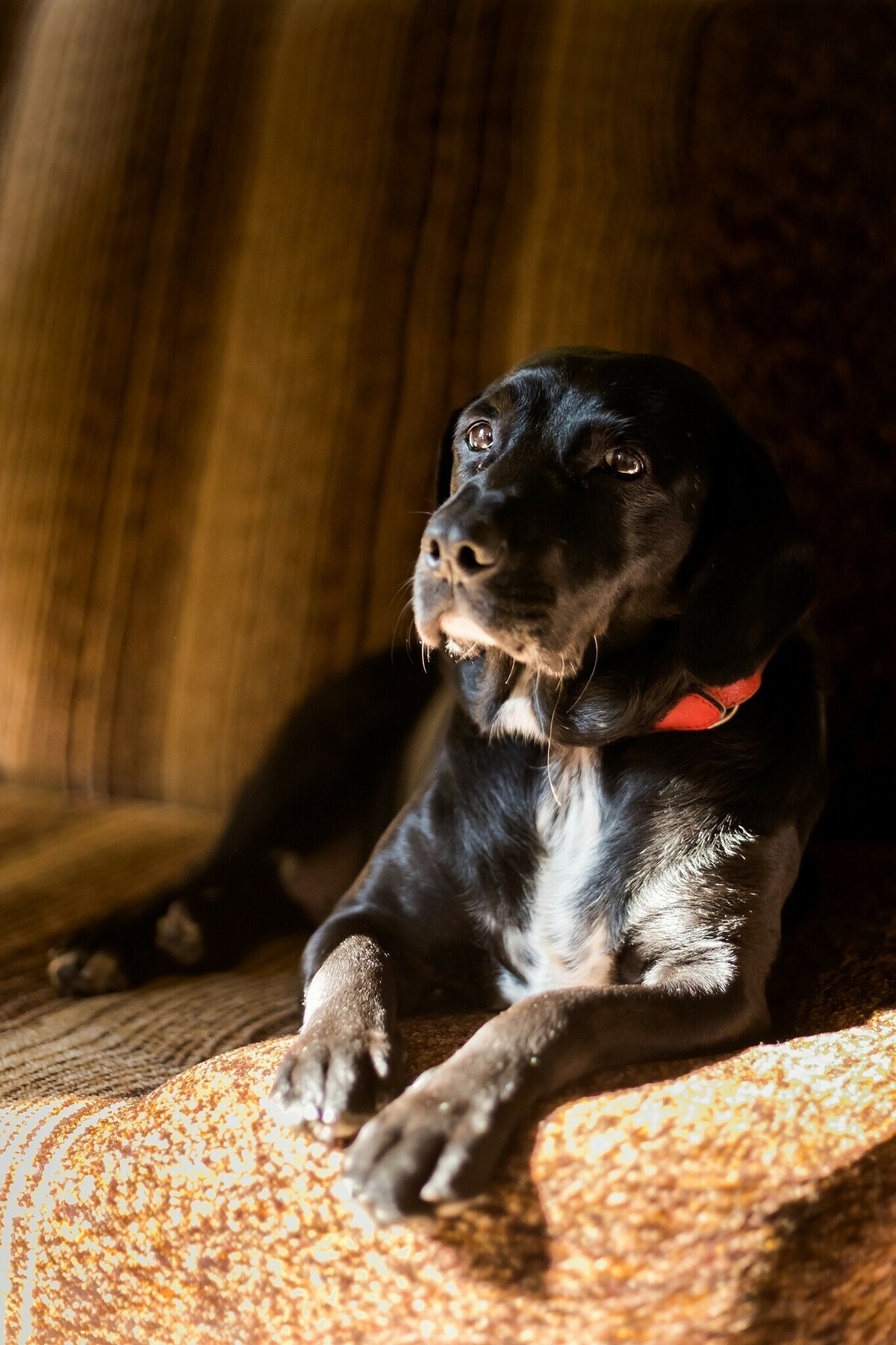 Sesja noworodkowa Miłoszka w otoczeniu domowej zieleni