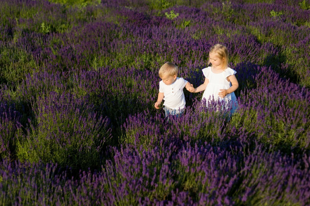 sesja rodzinna lawenda slask, sesja rodzinna w lawendzie, sesja w lawendzie, sesje w lawendzie, zdjecia rodzinne lawenda, lifestylowa sesja rodzinna pszczyna, lifestylowe sesje rodzinne pszczyna, sesje dzieciece, zdjecia dzieciece, sesja rodzinna krakow, sesje rodzinne krakow, sesja rodzinna bielsko, fotografia rodzinna slask, zdjecia portretowe pszczyna, fotografia dziecieca bielsko, zdjecia dzieci bielsko, fotografia rodzinna bielsko-biala, fotografia rodzinna slask, zdjecia ludzi slask, zdjecia dla rodzin, fotograf fotograf rodzinny slask, fotograf czechowice, fotografia bielsko, zdjecia slask, www.magiaobrazu.com,