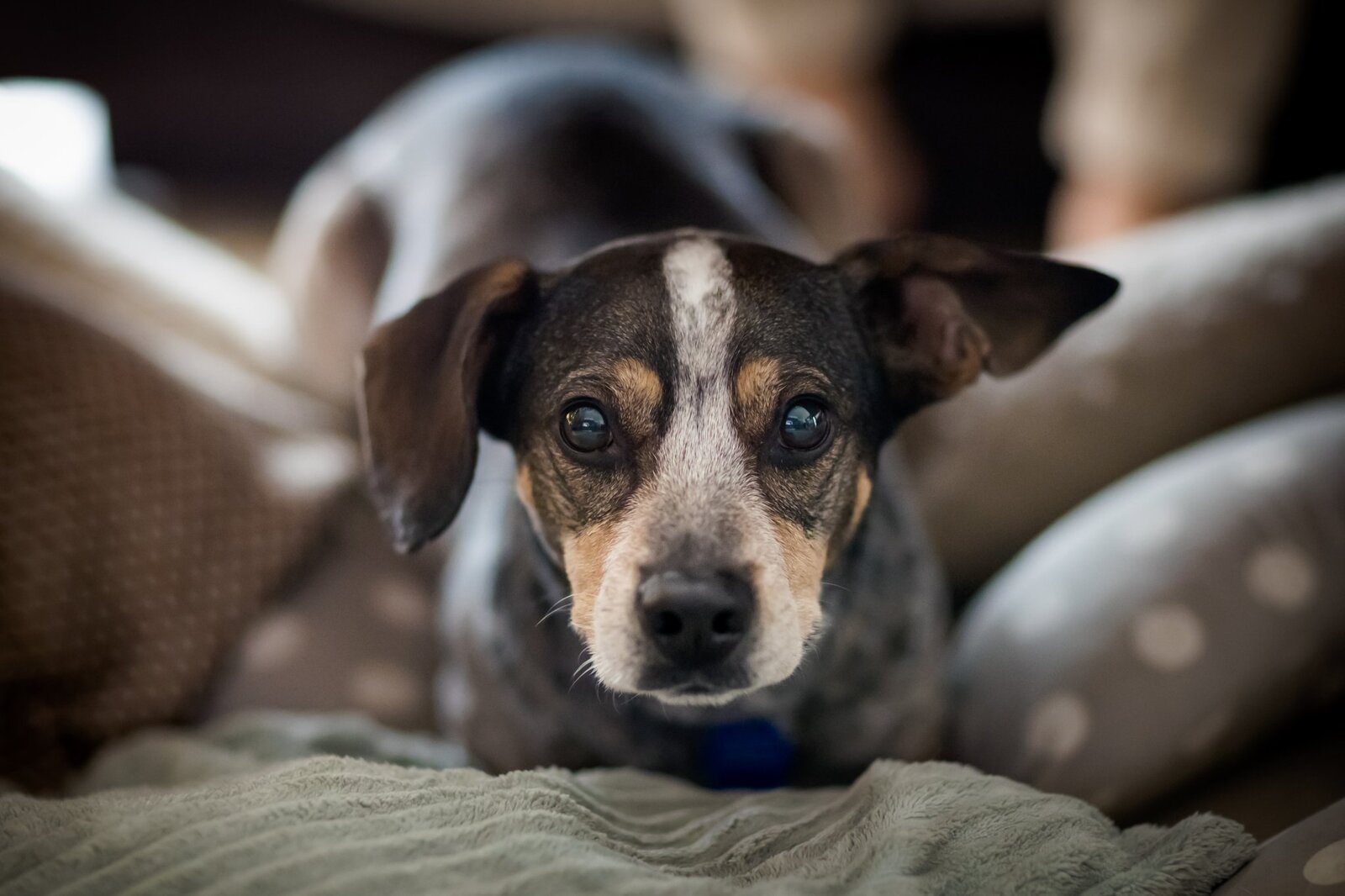 sesja noworodkowa w domu, sesja noworodkowa bielsko, fotografia dziecieca bielsko, zdjecia dzieci bielsko, fotografia rodzinna bielsko-biala, lifestylowa sesja rodzinna pszczyna, lifestylowe sesje rodzinne pszczyna, sesje dzieciece pszczyna, zdjecia dzieciece pszczyna, fotografia noworodkowa pszczyna, sesja rodzinna bielsko, fotografia rodzinna slask, fotograf czechowice, www.magiaobrazu.com