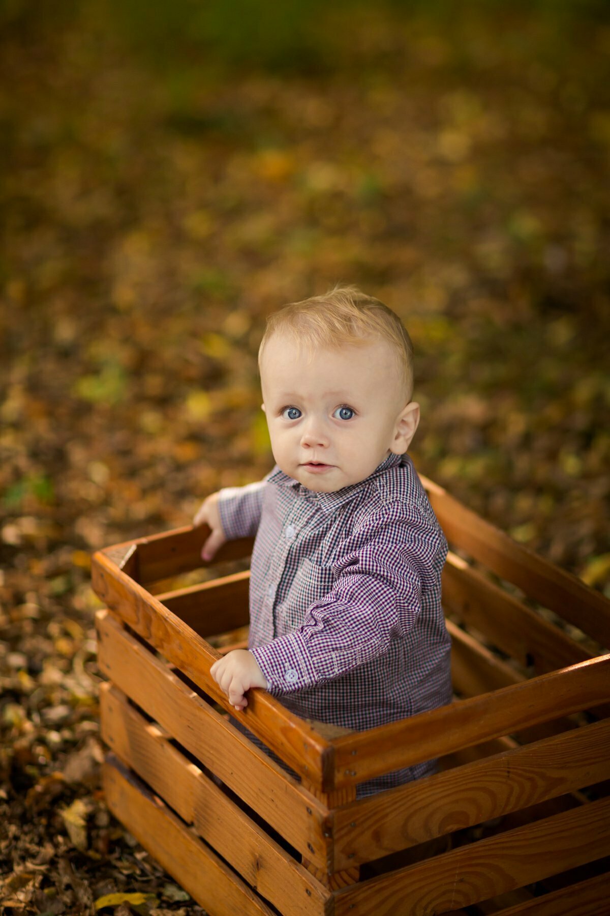 sesje rodzinne bielsko, lifestylowa sesja rodzinna pszczyna, lifestylowe sesje rodzinne pszczyna, jesienna sesja rodzinna, sesje dzieciece pszczyna, zdjecia dzieciece pszczyna, sesja rodzinna bielsko, fotografia rodzinna slask, zdjecia portretowe pszczyna, sesja portretowa bielsko, zdjecia w plenerze bielsko, rodzina w plenerze slask, fotografia dziecieca bielsko, zdjecia dzieci bielsko, fotografia rodzinna bielsko-biala, fotografia rodzinna slask, zdjecia ludzi slask, zdjecia dla rodzin, fotograf fotograf rodzinny slask , fotograf czechowice, fotografia bielsko, zdjecia slask, www.magiaobrazu.com,