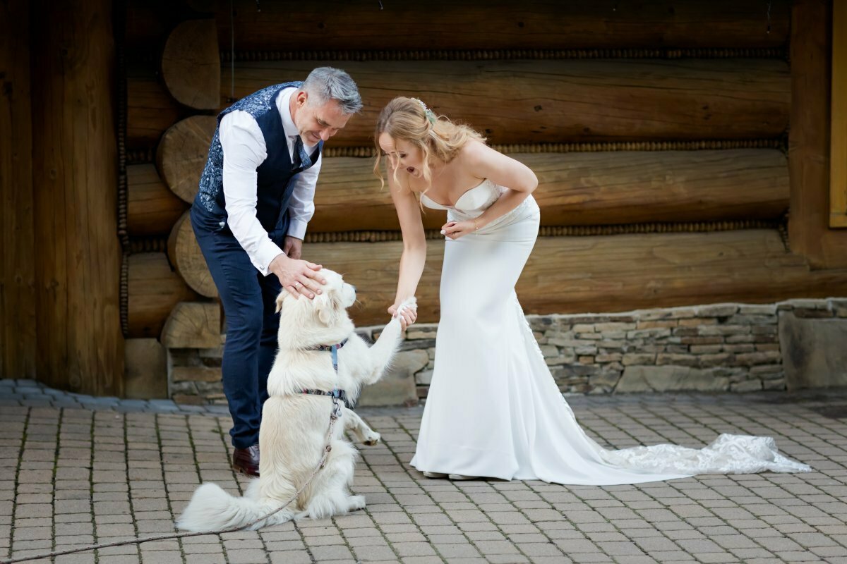 slub na kocierzu, hotel kocierz targanice, wesele w hotelu kocierz, slub kocierz, slub na kocierzu, wesele w kocierzu, fotograf slubny slask, zdjecia slubne slask, fotograf na slub slask, zdjecia slubne bielsko, fotografia slubna bielsko, fotografia slubna slask, zdjecia slubne andrychow, fotografia slubna andrychow, fotografia slubna katowice, zdjecia slubne katowice, fotograf slubny katowice, fotografia slubna krakow, fotograf na slub krakow, zdjecia slubne krakow