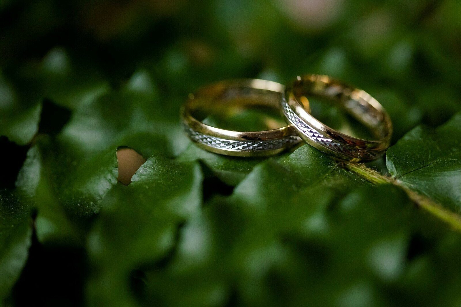 Zdjęcia z wesela Magdy i Rafała : Ślub w pięknym kościele w Goleszowie, przyjęcie w Dworku Stara Cynkownia w Czechowicach. Fotografia ślubna Śląsk