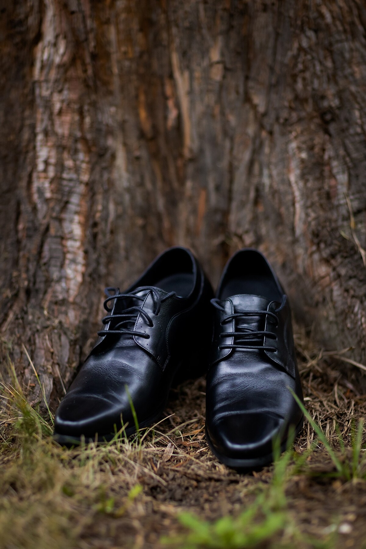 Zdjęcia z wesela Magdy i Rafała : Ślub w pięknym kościele w Goleszowie, przyjęcie w Dworku Stara Cynkownia w Czechowicach. Fotografia ślubna Śląsk