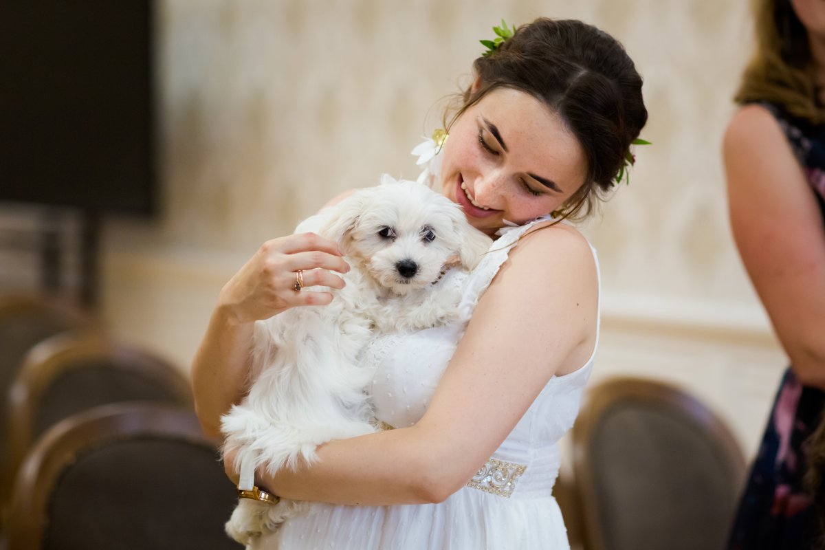 ślub w strumieniu, slub w strumieniu, fotograf slubny slask, zdjecia slubne slask, fotograf na slub slask, zdjecia slubne strumien, fotografia slubna strumien, fotografia slubna slask, fotografia slubna katowice, zdjecia slubne katowice, fotograf slubny katowice, fotografia slubna gliwice, fotograf slubny gliwice, zdjecia slubne bielsko, zdjecia slubne mikolow, fotografia slubna bielsko, dwoch fotografow na slub, fotografia slubna krakow, fotograf na slub krakow, zdjecia slubne krakow