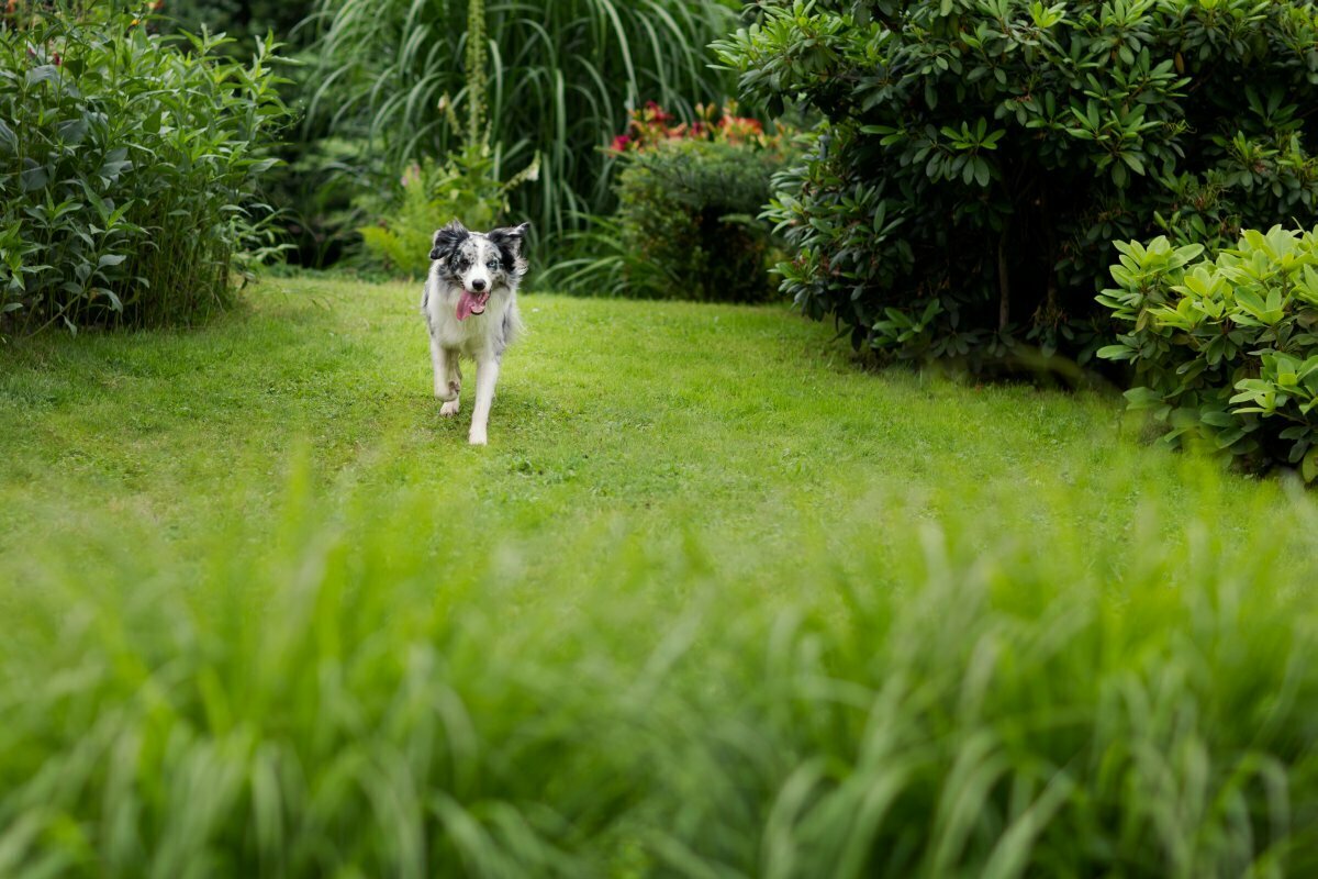 ślub w strumieniu, slub w strumieniu, fotograf slubny slask, zdjecia slubne slask, fotograf na slub slask, zdjecia slubne strumien, fotografia slubna strumien, fotografia slubna slask, fotografia slubna katowice, zdjecia slubne katowice, fotograf slubny katowice, fotografia slubna gliwice, fotograf slubny gliwice, zdjecia slubne bielsko, zdjecia slubne mikolow, fotografia slubna bielsko, dwoch fotografow na slub, fotografia slubna krakow, fotograf na slub krakow, zdjecia slubne krakow
