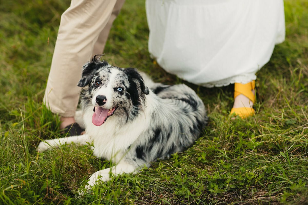 ślub w strumieniu, slub w strumieniu, fotograf slubny slask, zdjecia slubne slask, fotograf na slub slask, zdjecia slubne strumien, fotografia slubna strumien, fotografia slubna slask, fotografia slubna katowice, zdjecia slubne katowice, fotograf slubny katowice, fotografia slubna gliwice, fotograf slubny gliwice, zdjecia slubne bielsko, zdjecia slubne mikolow, fotografia slubna bielsko, dwoch fotografow na slub, fotografia slubna krakow, fotograf na slub krakow, zdjecia slubne krakow
