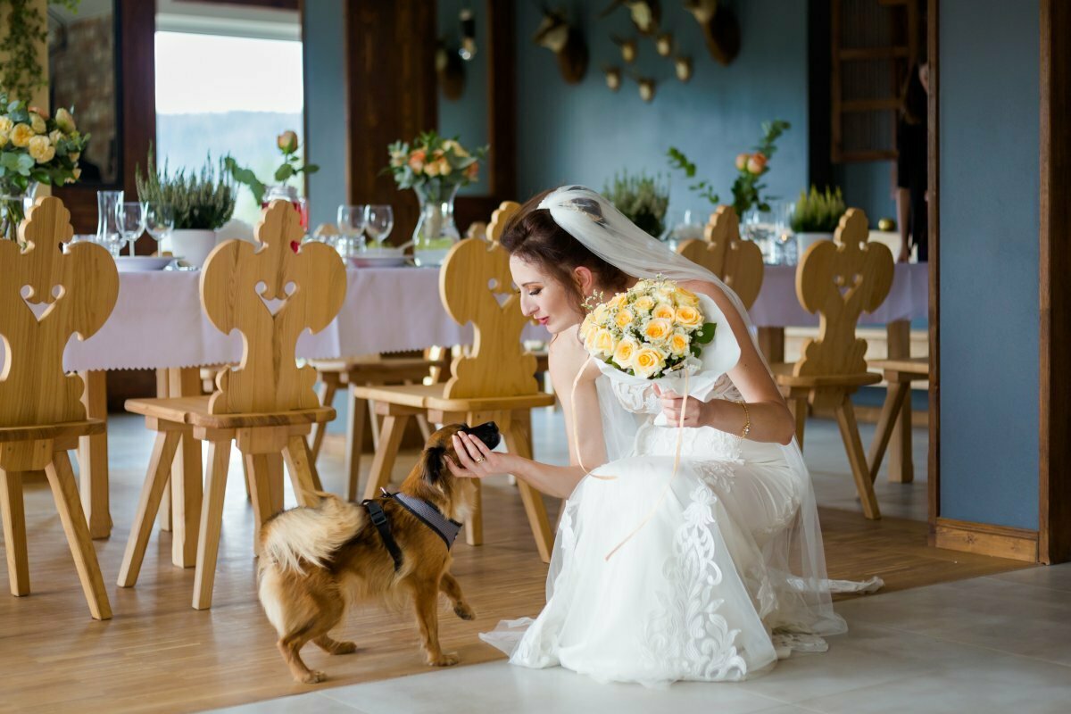 ślub w tatrach, slub w tatrach, fotografia slubna zakopane, fotograf weselny zakopane, slub w zakopanem, slub w zakopanym, slub na plazowce, ślub płazówka witów, kaplica św anny na płazówce ślub, zdjecia slubne malopolska, slub pod tatrami, slub tatry, plener slubny w tatrach, sesja slubna tatry, fotografia slubna Tatry, tatrzanski plener slubny, sesja slubna tatry, plener slubny tatry, fotografia slubna malopolska, fotograf na slub zakopane, zdjecia slubne zakopane, fotografia slubna slask, zdjecia slubne krakow, fotografia slubna krakow, zdjecia slubne slask, fotograf slubny Krakow, fotografowie slubni, Magia Obrazu