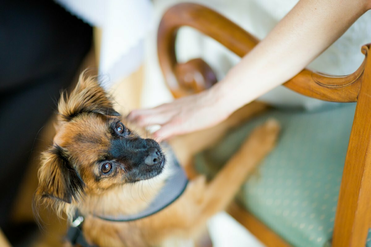 ślub w tatrach, slub w tatrach, fotografia slubna zakopane, fotograf weselny zakopane, slub w zakopanem, slub w zakopanym, slub na plazowce, ślub płazówka witów, kaplica św anny na płazówce ślub, zdjecia slubne malopolska, slub pod tatrami, slub tatry, plener slubny w tatrach, sesja slubna tatry, fotografia slubna Tatry, tatrzanski plener slubny, sesja slubna tatry, plener slubny tatry, fotografia slubna malopolska, fotograf na slub zakopane, zdjecia slubne zakopane, fotografia slubna slask, zdjecia slubne krakow, fotografia slubna krakow, zdjecia slubne slask, fotograf slubny Krakow, fotografowie slubni, Magia Obrazu