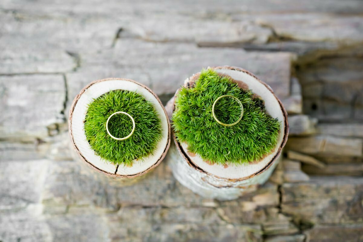 wesele w dolinie stawu, zdjęcia ślubne kraków, fotograf ślubny kraków, fotograf na slub krakow, dolina stawu zdzieslawice, dolina stawu Zdzięsławice, slub w Zdzięsławicach, slub w dolinie stawu zdzieslawice, plenerowy slub krakow, slub plenerowy w krakowie, slub w krakowie, wesele w krakowie, plenerowa ceremonia slubna krakow, ceremonia w plenerze krakow, fotografia slubna slask, fotografia slubna katowice, zdjecia slubne katowice, fotograf slubny katowice, zdjecia slubne bielsko, dwoch fotografow na slub, fotografia slubna krakow