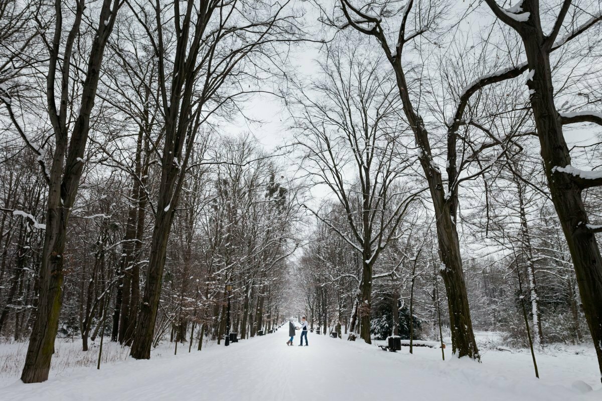 zimowa sesja narzeczenska pszczyna, zimowa sesja narzeczeńska, zimowe sesje narzeczenskie, zimowa sesja przedslubna, sesja narzeczenska pszczyna, sesje narzeczenskie pszczyna, plener zareczynowy pszczyna, sesja zareczynowa pszczyna, sesja narzeczenska w parku, plener narzeczenski w parku,sesje narzeczenskie slask, zdjecia narzeczenskie slask, sesja narzeczenska katowice, sesja zareczynowa slask, zdjecia zareczynowe slask, www.magiaobrazu.com, fotografia slubna slask, fotograf slubny krakow, zdjecia przedslubne slask, fotografia slubna slask